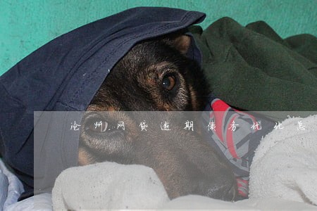 沧州网贷逾期债务优化怎么收费 沧州网贷逾期债务优化怎么收费