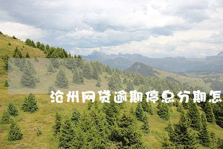 沧州网贷逾期停息分期怎么协商 沧州网贷逾期停息分期怎么协商