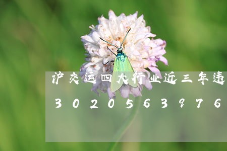 沪交运四大行业近三年违法率出炉/2023020563976 沪交运四大行业近三年违法率出炉/2023020563976