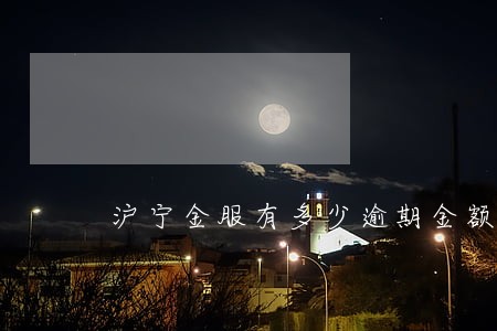 沪宁金服有多少逾期金额 沪宁金服有多少逾期金额