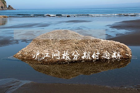 沪江网校分期付逾期