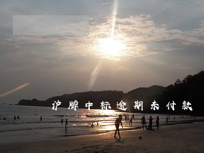 沪牌中标逾期未付款 沪牌中标逾期未付款