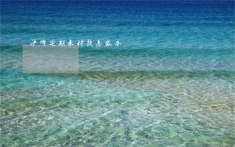 沪牌逾期未付款怎么办 沪牌逾期未付款怎么办