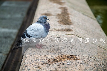 沭阳企业法律顾问多少钱 沭阳企业法律顾问多少钱