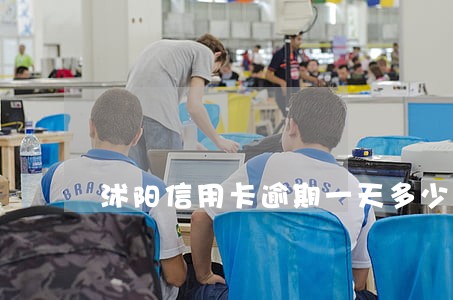 沭阳信用卡逾期一天多少 沭阳信用卡逾期一天多少