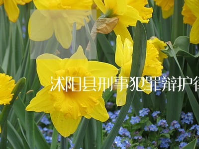 沭阳县刑事犯罪辩护律师 沭阳县刑事犯罪辩护律师