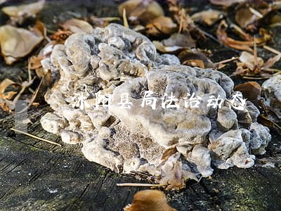 沭阳县局法治动态 沭阳县局法治动态