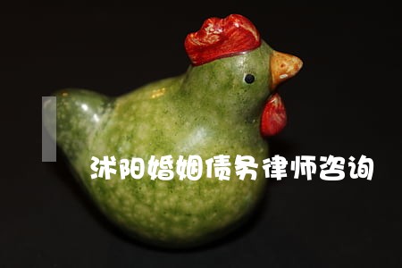 沭阳婚姻债务律师咨询 沭阳婚姻债务律师咨询