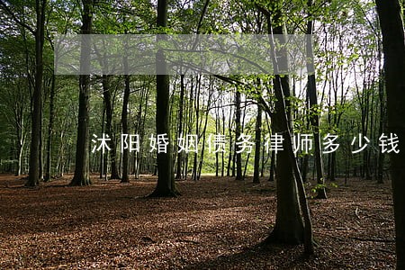 沭阳婚姻债务律师多少钱 沭阳婚姻债务律师多少钱