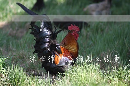 沭阳律师咨询怎么收费