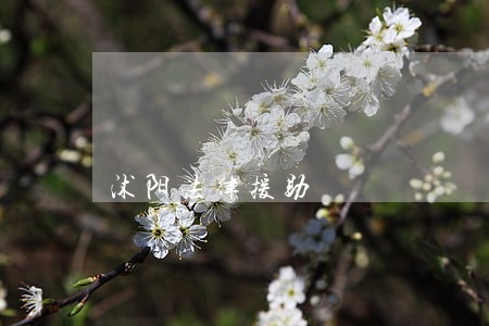 沭阳法律援助 沭阳法律援助