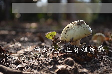 沭阳法院附近有租房嘛 沭阳法院附近有租房嘛