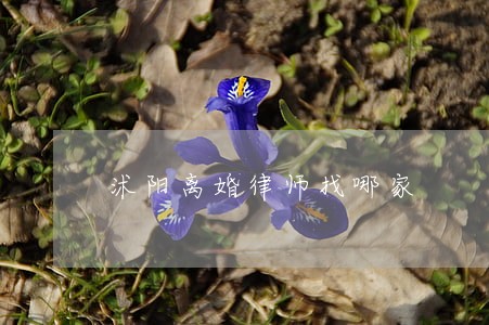 沭阳离婚律师找哪家 沭阳离婚律师找哪家