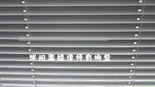 沭阳离婚律师有哪些 沭阳离婚律师有哪些