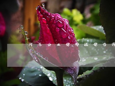 河东企业律师法律咨询 河东企业律师法律咨询