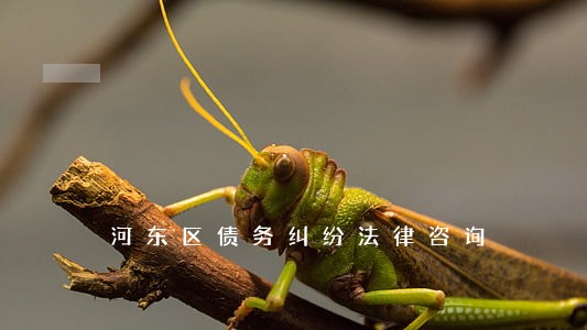 河东区债务纠纷法律咨询 河东区债务纠纷法律咨询