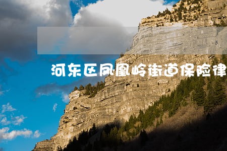 河东区凤凰岭街道保险律师 河东区凤凰岭街道保险律师