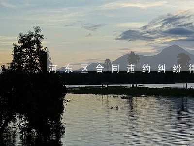 河东区合同违约纠纷律师 河东区合同违约纠纷律师
