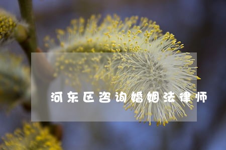 河东区咨询婚姻法律师 河东区咨询婚姻法律师