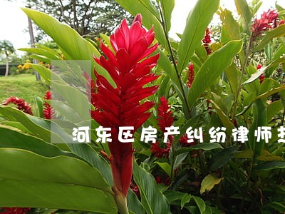 河东区房产纠纷律师热线 河东区房产纠纷律师热线