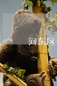 河东区有哪些律师事务所 河东区有哪些律师事务所