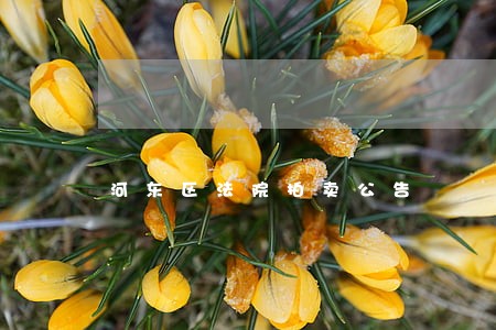 河东区法院拍卖公告