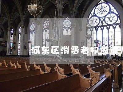河东区消费者权益律师在线咨询