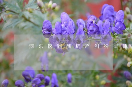 河东区遇到房产纠纷律师怎么办 河东区遇到房产纠纷律师怎么办