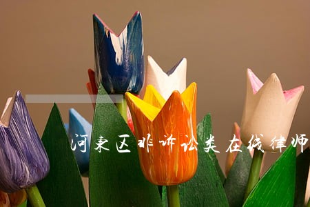河东区非诉讼类在线律师 河东区非诉讼类在线律师