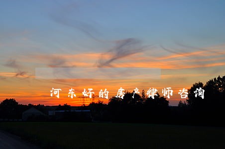 河东好的房产律师咨询 河东好的房产律师咨询