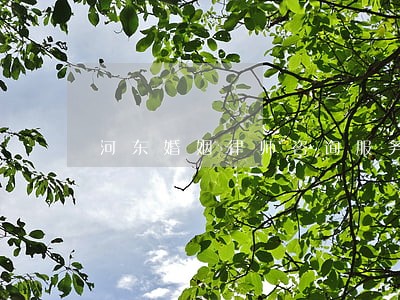 河东婚姻律师咨询服务 河东婚姻律师咨询服务