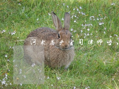 河东房产官司律师咨询 河东房产官司律师咨询