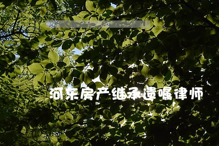 河东房产继承遗嘱律师