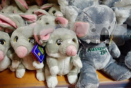 河东法院第八审判庭