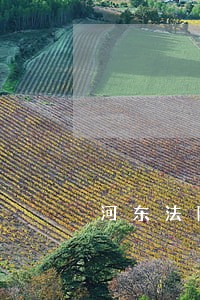 河东法院赵阳简历 河东法院赵阳简历