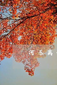 河东离婚律师咨询 河东离婚律师咨询