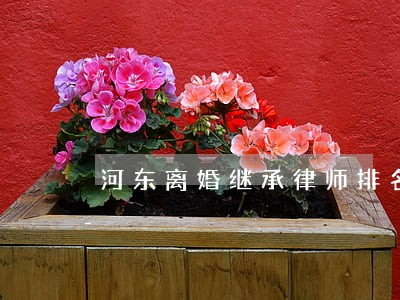 河东离婚继承律师排名 河东离婚继承律师排名
