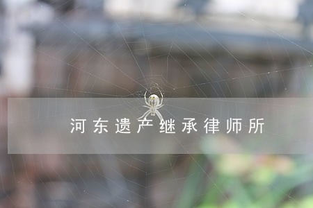 河东遗产继承律师所 河东遗产继承律师所