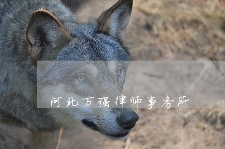 河北万强律师事务所 河北万强律师事务所