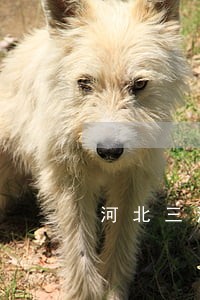 河北三河法院电话 河北三河法院电话