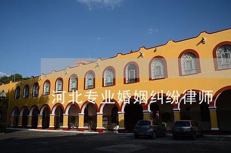 河北专业婚姻纠纷律师 河北专业婚姻纠纷律师