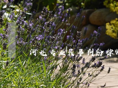 河北专业民事纠纷律师 河北专业民事纠纷律师