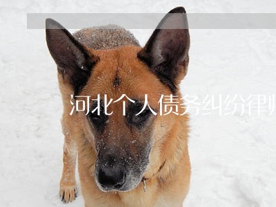 河北个人债务纠纷律师 河北个人债务纠纷律师