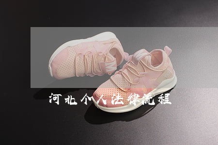 河北个人法律流程