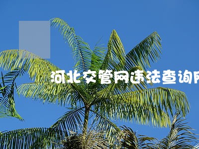 河北交管网违法查询网 河北交管网违法查询网