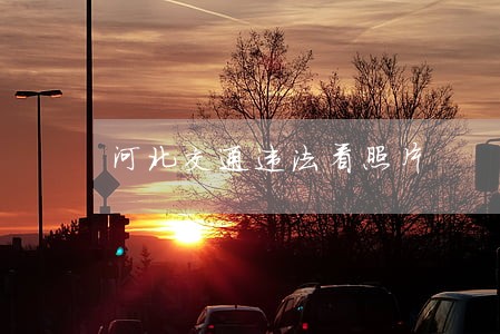 河北交通违法看照片