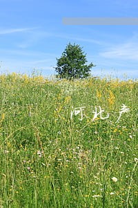 河北产品质量司法鉴定中心 河北产品质量司法鉴定中心