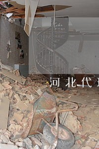 河北代理律师法律顾问 河北代理律师法律顾问