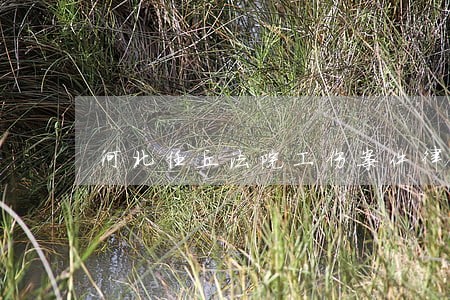 河北任丘法院工伤案件律师 河北任丘法院工伤案件律师