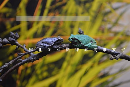 河北企业法律顾问谁家好 河北企业法律顾问谁家好